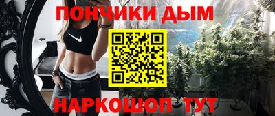 крисы Будённовск