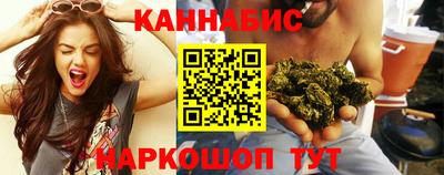 крисы Будённовск