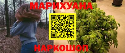 крисы Будённовск