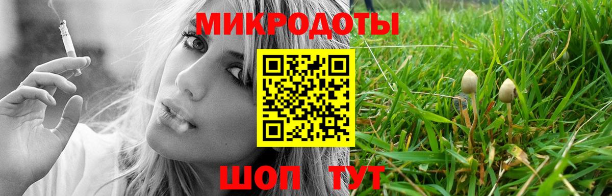 Галлюциногенные грибы прущие грибы  продажа наркотиков  Петропавловск-Камчатский  Вход с VPN 